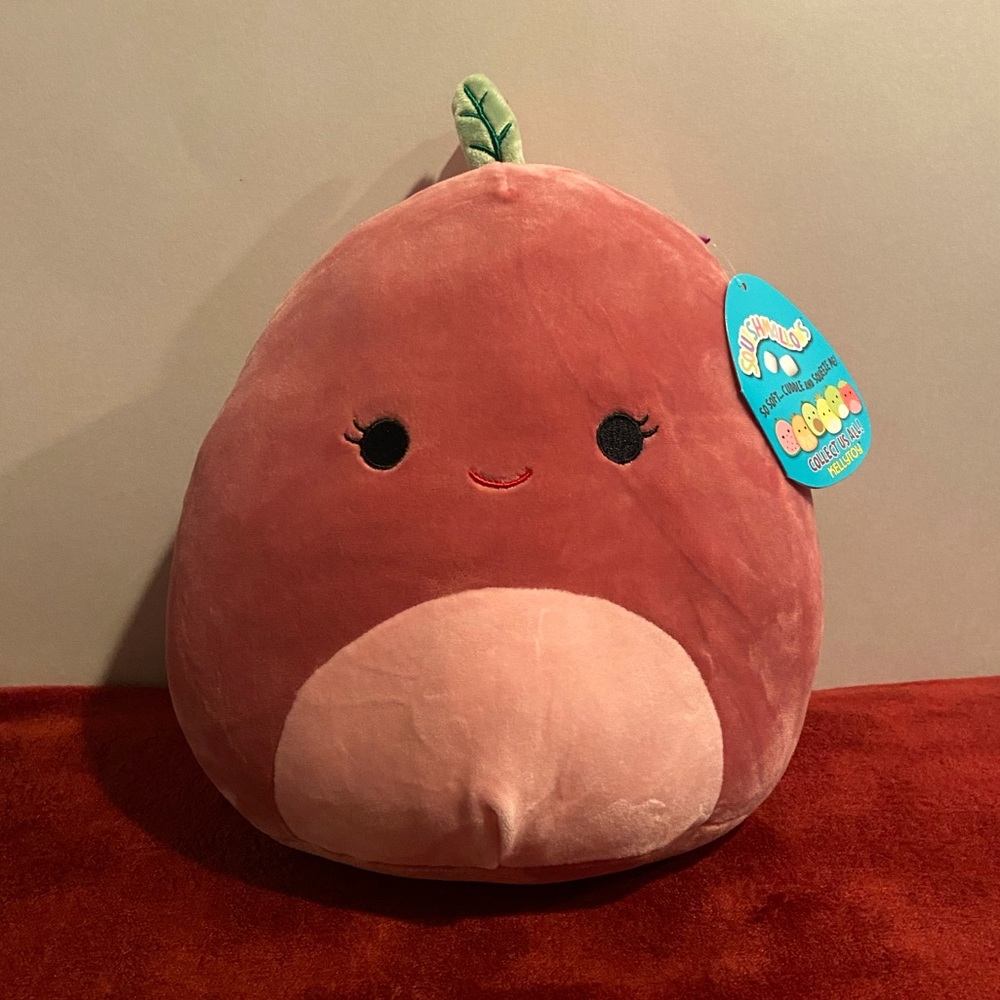 Cherry Squishmallow NWT